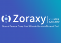 Zoraxy Proxy Manager